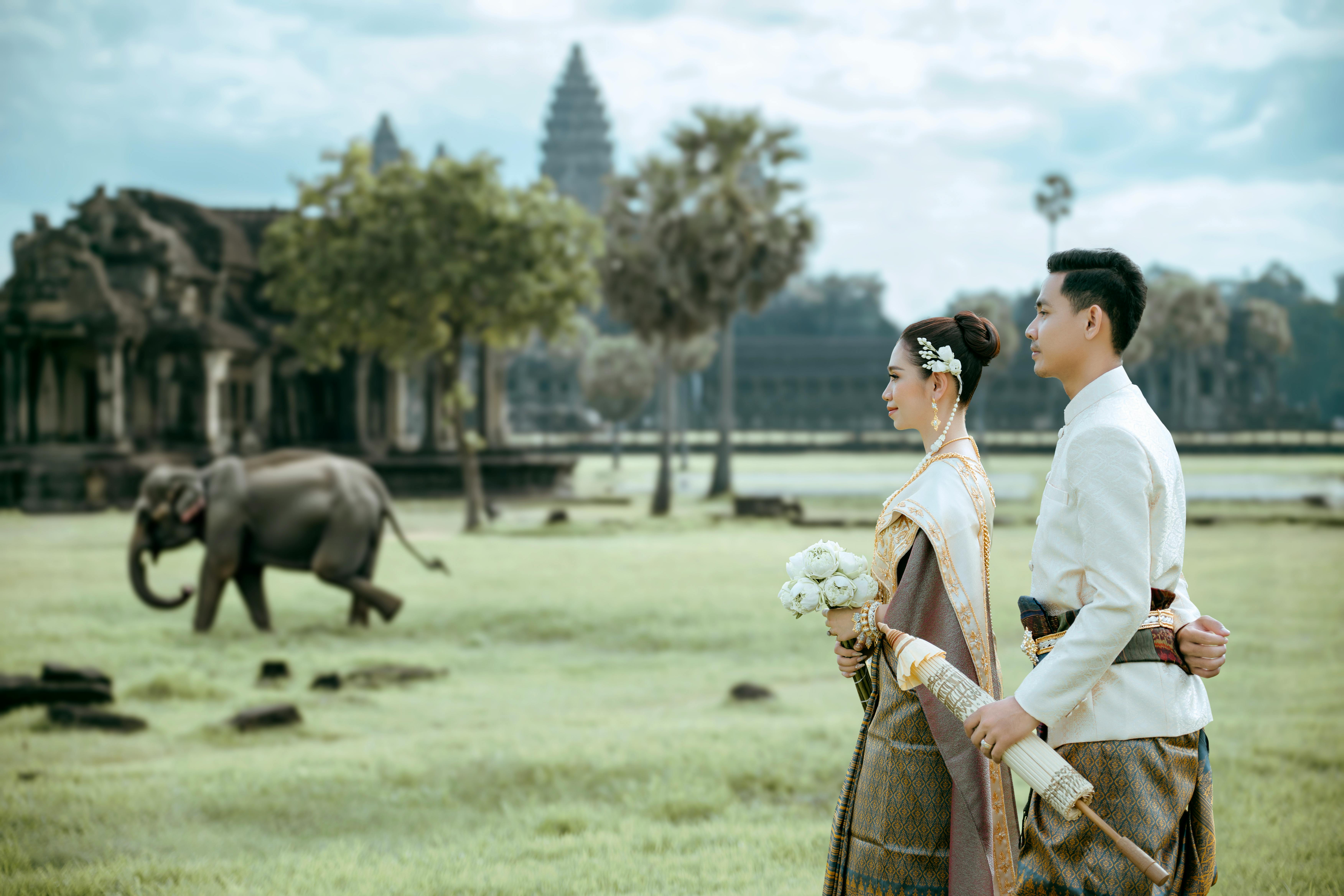 Objective-Cultural Diplomacy and International Cooperation