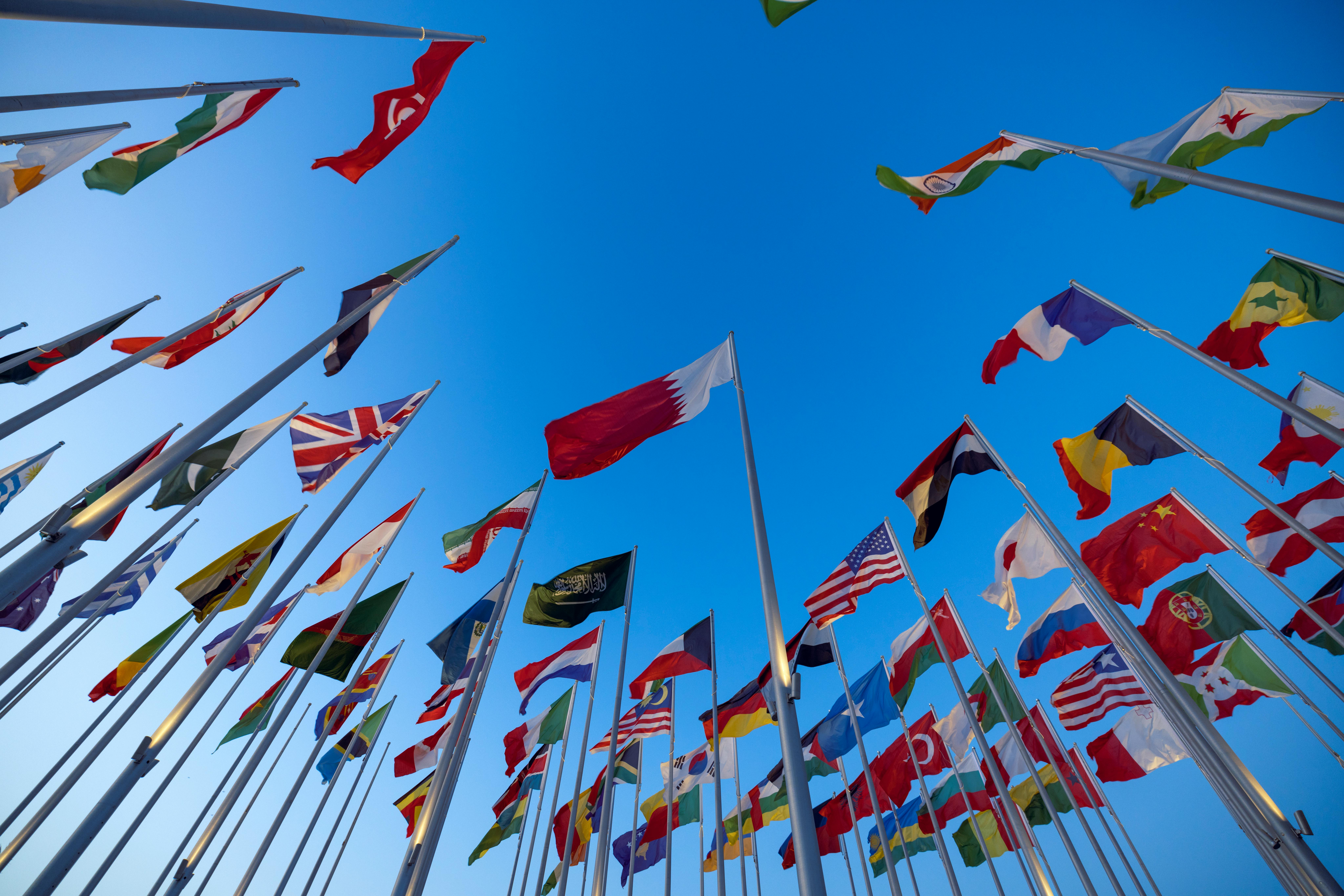 Objective-Climate Change Advocacy and Environmental Diplomacy