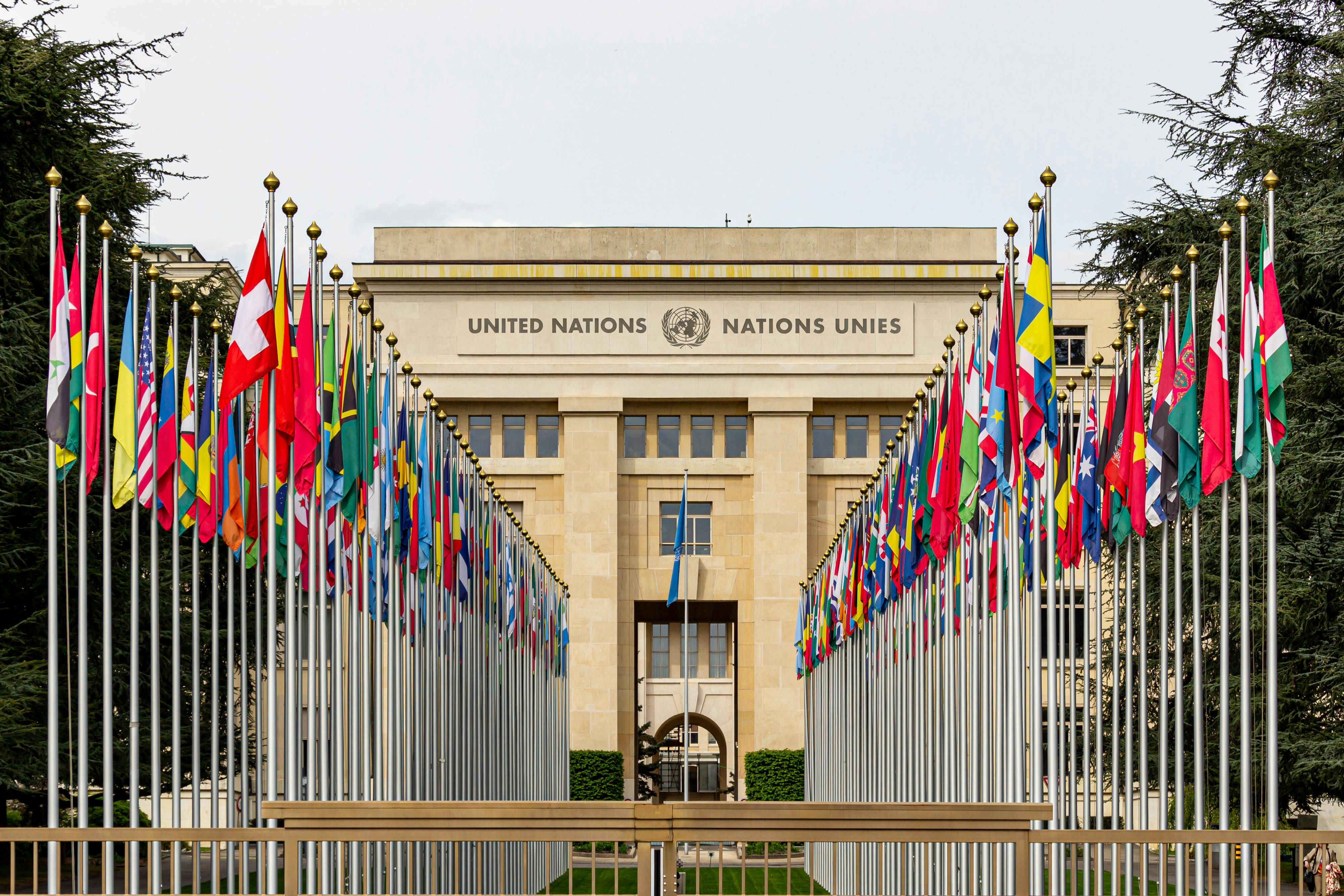 Objective-Coordination with International Organizations